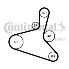 Set curea transmisie cu caneluri VW TRANSPORTER V caroserie (7HA, 7HH, 7EA, 7EH) (2003 - 2016) CONTITECH 6DPK1195K1 foto