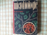 microbiologie manual prof. dr. motoc