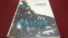PETOFI - JANOS VITEAZUL foto