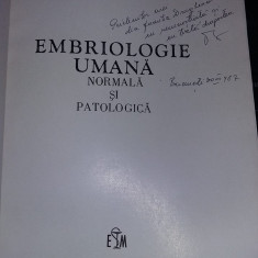 Embriologie Umana Normala Si Patologica-Lucia Bareliuc,Natalia Neagu,T.GRATUIT