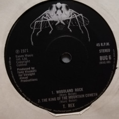T-REX - HOT LOVE/WOODLAND ROCK /THE ..(1971/ESSEX/RFG) - disc VINIL Single "7/NM
