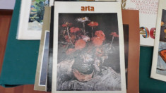 LOT 17 REVISTE* ARTA *ANII 1983-1989 foto