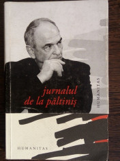 JURNALUL DE LA PALTINIS - GABRIEL LIICEANU foto