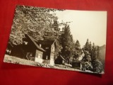 Ilustrata- Muntii Bucegi - Cabana Poiana Stanii circulat 1964, Circulata, Fotografie