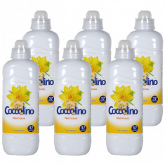 6 x Balsam de rufe Coccolino Narcise, 6 x 950ml foto