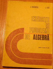 Exercitii si probleme de algebra IX - XII de C. Nastasescu foto