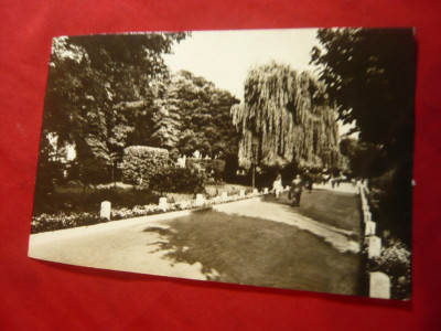 Ilustrata Radauti - Vedere din Parc circulat 1971 foto