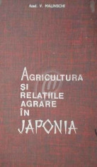 Agricultura si relatiile agrare in Japonia foto