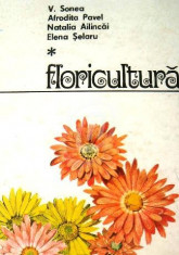 Floricultura foto