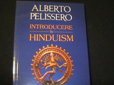 INTRODUCERE IN HINDUISM-ALBERTO PELISSERO-TRAD.CORNELIA DUMITRU-169 PG- foto