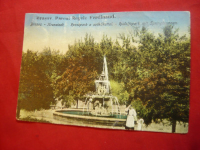 Ilustrata Brasov -Parcul Regele Ferdinand foto
