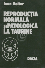 Reproductia normala si patologica la taurine foto