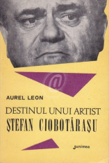 Destinul unui artist. Stefan Ciobotarasu foto