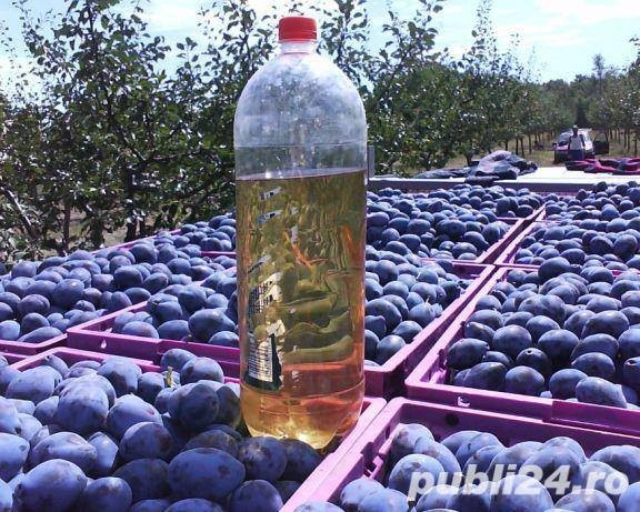 Tuica de prune de Topoloveni, 100% naturala | arhiva Okazii.ro