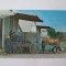 Carte postala necirculata cu barbati Amish descarcand animale in anii 70