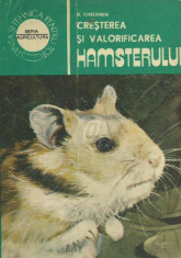Cresterea si valorificarea hamsterului foto