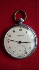 CEAS DE BUZUNAR MOLNIJA foto