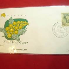 Plic FDC Australia 1959 - Mimosa