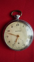 CEAS DE BUZUNAR MOLNIJA