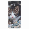 Husa silicon pentru Nokia 3.1, Animal Cat