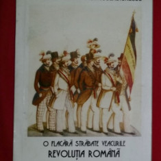 O flacara strabate veacurile: revolutia de la 1848-1849/ F. Tuca, N. Ionescu