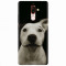 Husa silicon pentru Nokia 7 Plus, Funny Dog