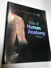 ATLAS DE ANATOMIE UMANA - NETTER ( in limba engleza) foto