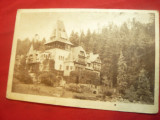 Ilustrata Sinaia - Castelul Pelisor 1945, Circulata, Printata