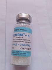 Moldamin foto
