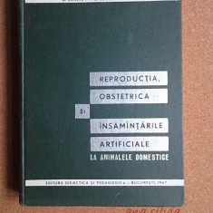 Reproductia,obstretica si insamantarile artificiale la animalele domestic -Lunca