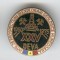 PROSPECTIUNI si EXPLORARI GEOLOGICE Hunedoara 1950-1975 Insigna MINERIT email
