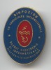 RAZBOI ELECTRONIC si INFORMATIONAL Simpozion 1998 - Insigna MILITARA - Rara