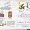 IP 10050 INTREG POSTAL - Slt. MIRCEA ANTONESCU - OARBA DE MURES, SLAVA EROILOR