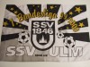 Steag fotbal - SSV ULM 1846 (Germania)