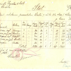 Z386 DOCUMENT VECHI- STAT - SCOALA COMERCIALA ELEMENTARA DE BAIETI, BRAILA 1935