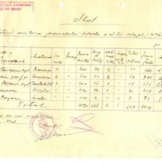 Z384 DOCUMENT VECHI- STAT - SCOALA COMERCIALA ELEMENTARA DE BAIETI, BRAILA 1935