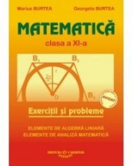 Matematica. Exercitii si probleme. Clasa a XI-a foto