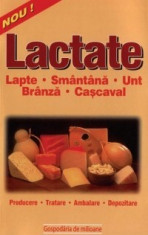 Lactate - Lapte, smantana, unt, branza, cascaval foto