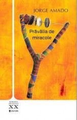 Pravalia de miracole foto