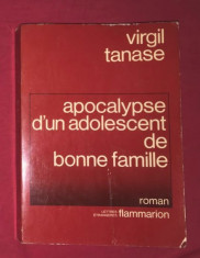 Apocalypse d&amp;#039;un adolescent de bonne famille / Virgil Tanase foto