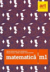 Matematica M1 - Marian Andronache, Dinu Serbanescu foto