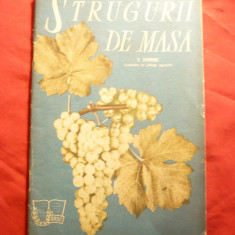 V.Dvornic - Strugurii de Masa - Ed. SRSC 1962 , 47 pag