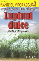 Lupinul dulce, planta proteaginoasa foto