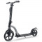 Trotineta Frenzy Scooter 230mm silver