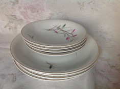 Set portelan fin Rosenthal, 8 pcs foto