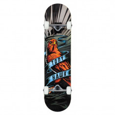 Skateboard Tony Hawk SS 360 31X7,5&amp;#039;&amp;#039; Banner Hawk foto