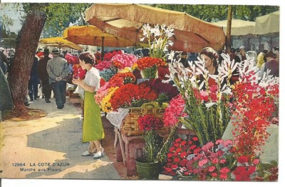 (A) carte postala(ilustrata)-FRANTA-Coasta de Azur foto