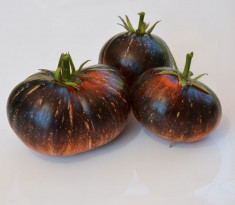 ROSII ,tomate soiuri RARE , 5 seminte /plic alegeti soiurile dorite dintre: foto