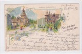 SINAIA CASTELUL PELES LITHO 1899 ROMANIA., Circulata, Fotografie