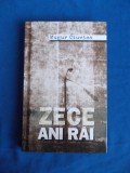 MUGUR CIUVICA - ZECE ANI RAI - 2015, Rao